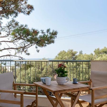 Alexandros Maisonettes & Apartments Неа-Муданія Екстер'єр фото